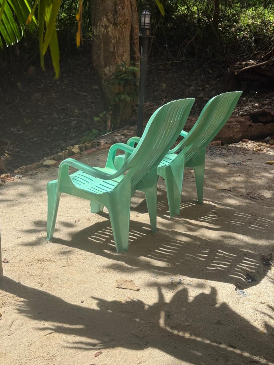 View (from property/room), sunbed
