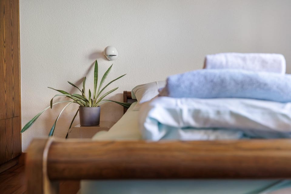 Everest Apartment in Saas-Fee