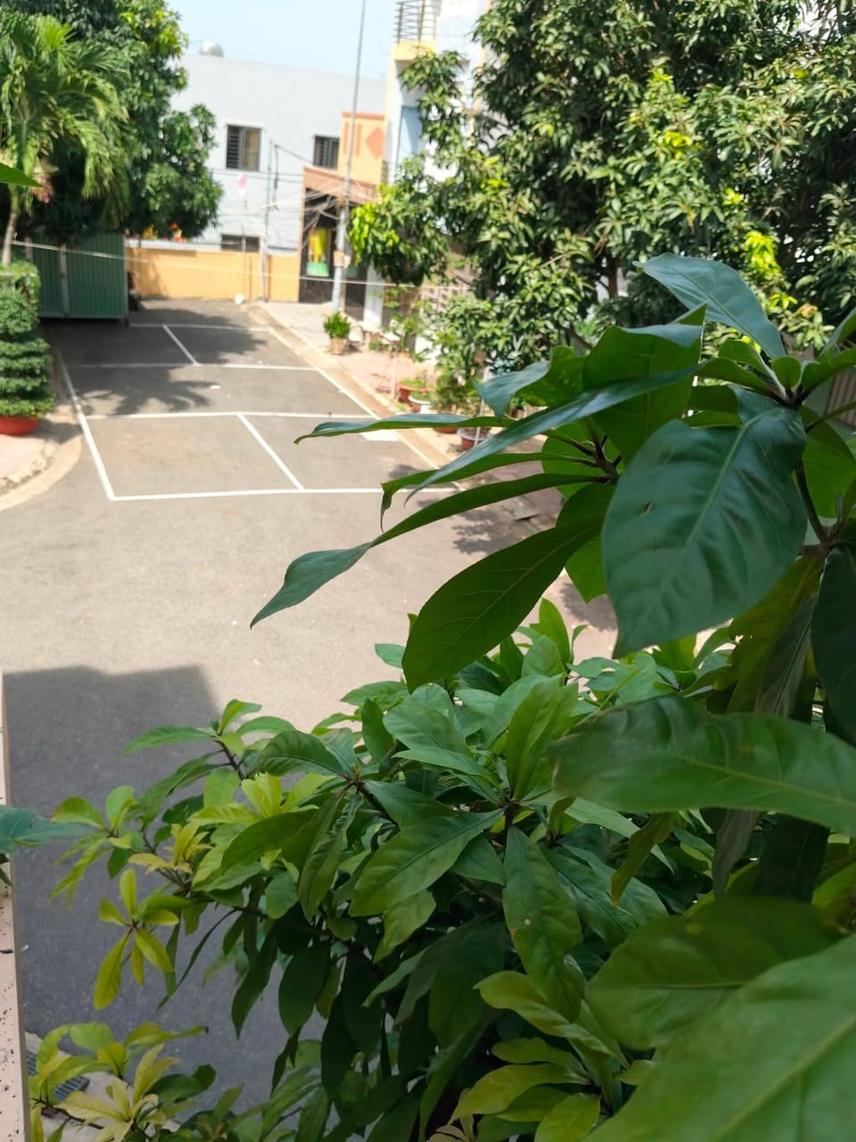Thuy's homestay Bed and Breakfast in Vung Tau