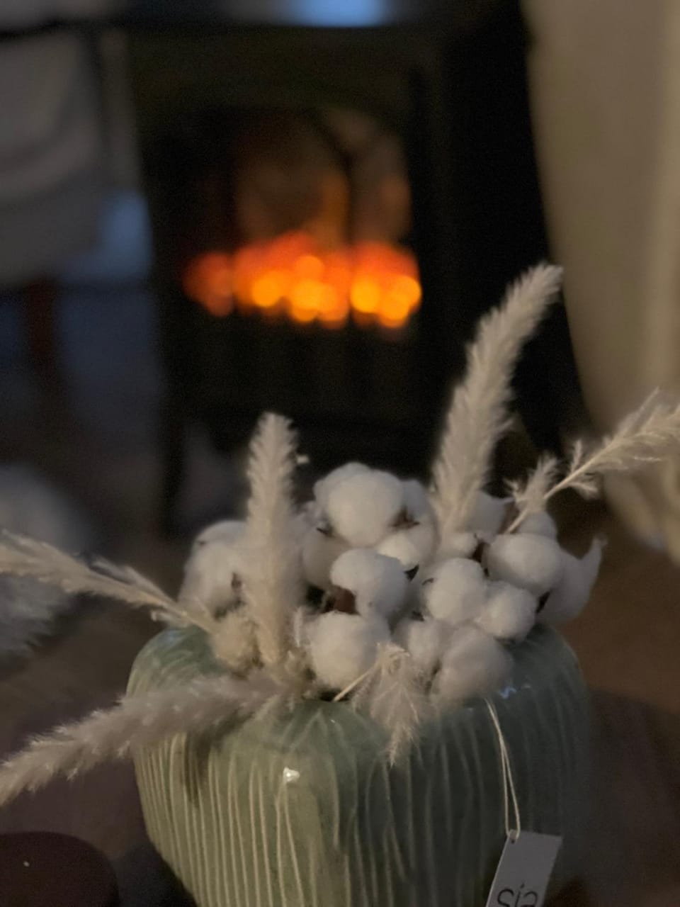 Apart'hôtel 6 personnes centre et cœur station Apartment in Isola