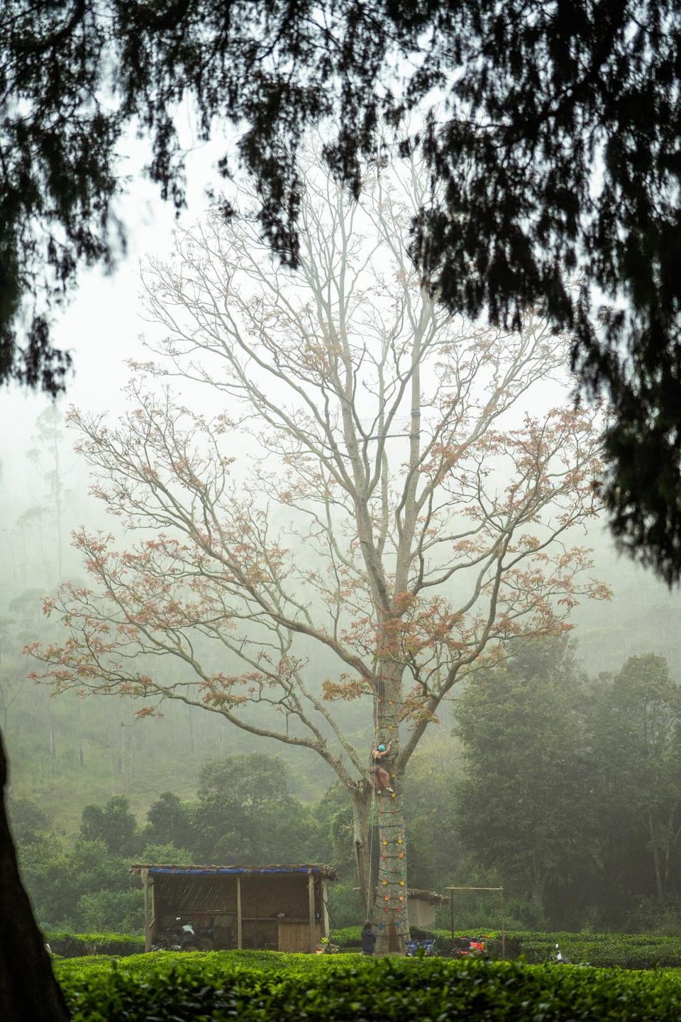 Natural landscape