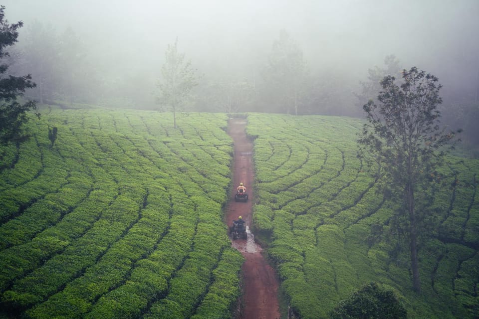 Natural landscape, Activities