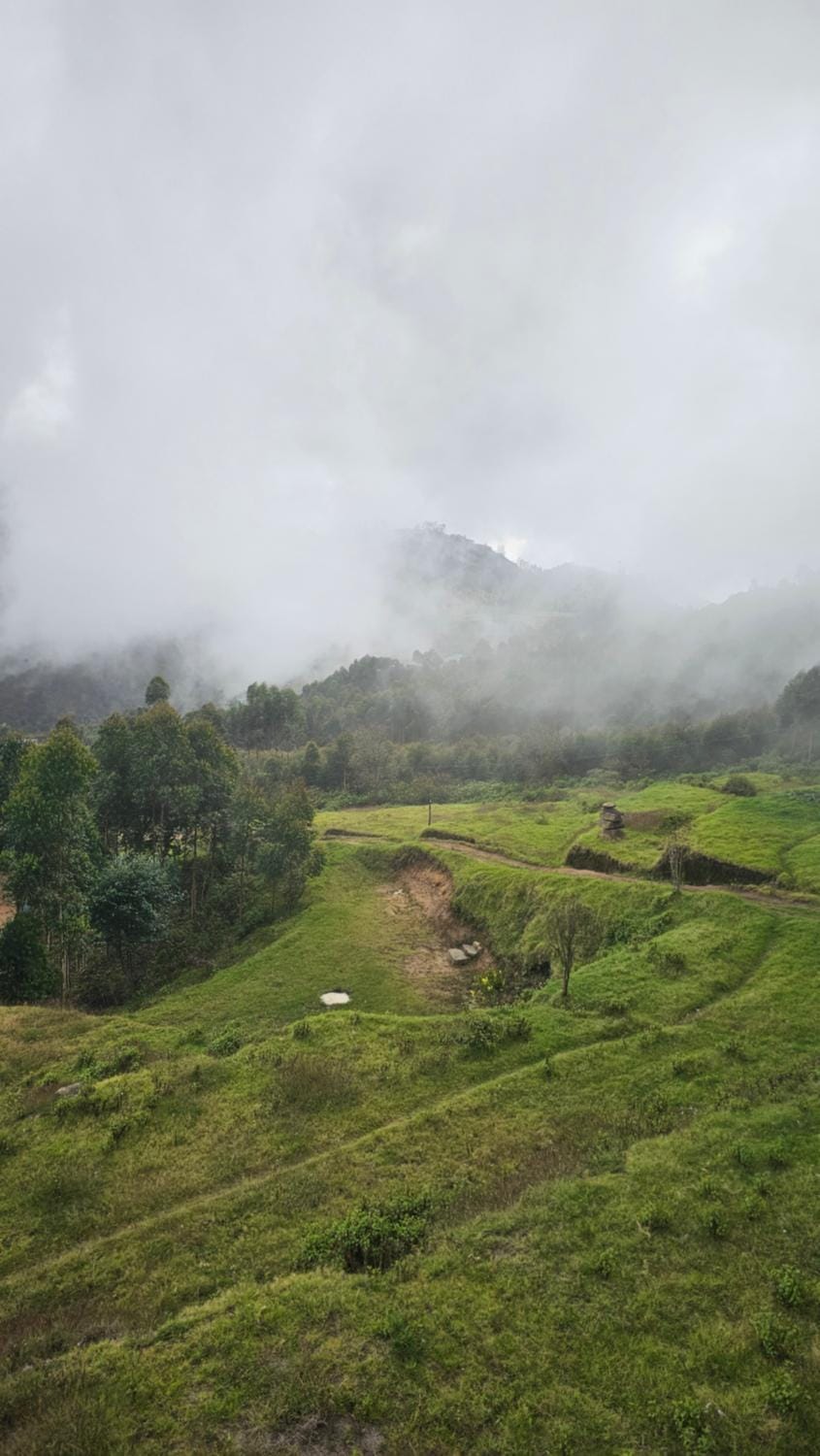 Bluehood WildScape House in Kerala