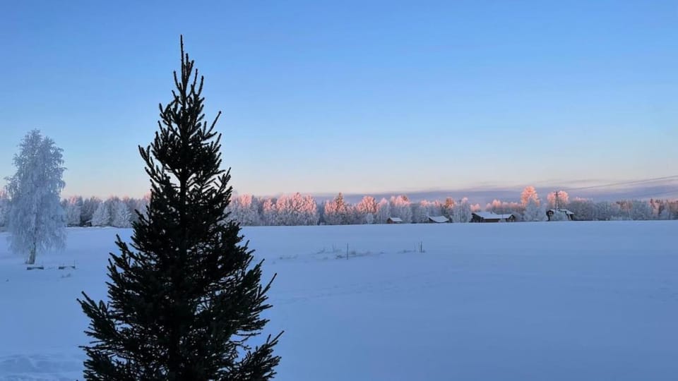 Lapland Log Retreat House in Rovaniemi