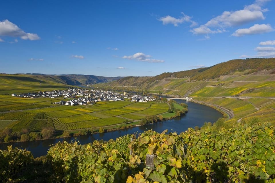 Natural landscape, Summer