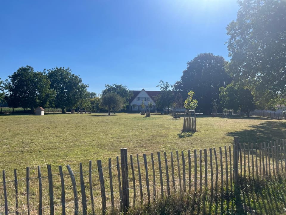Property building, Garden