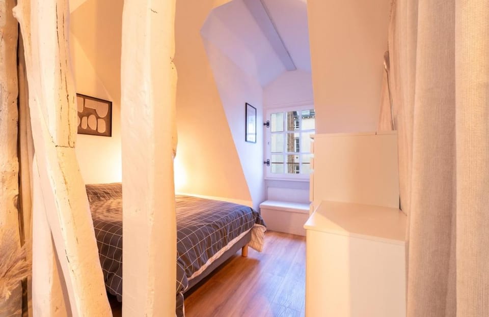 Historic Rennes Cozy apartment Apartment in Rennes