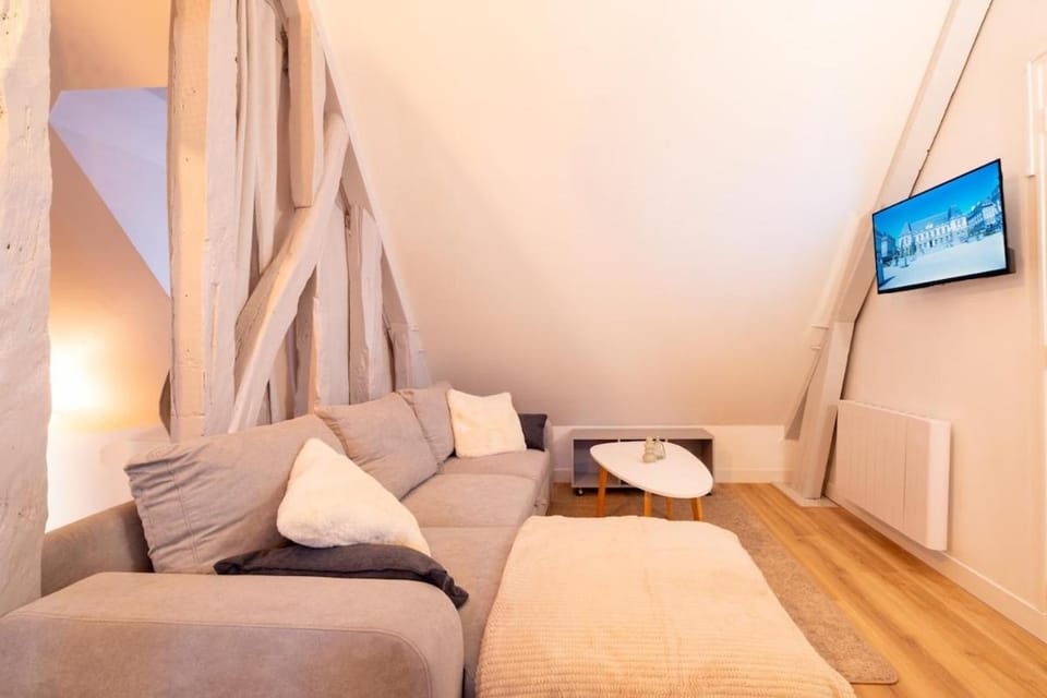 Historic Rennes Cozy apartment Apartment in Rennes