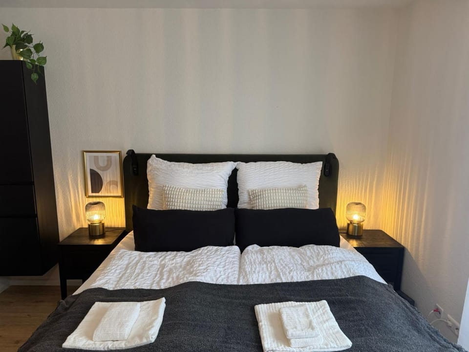 Beautiful Renovated Apartment in Lorrach Apartment in Riehen