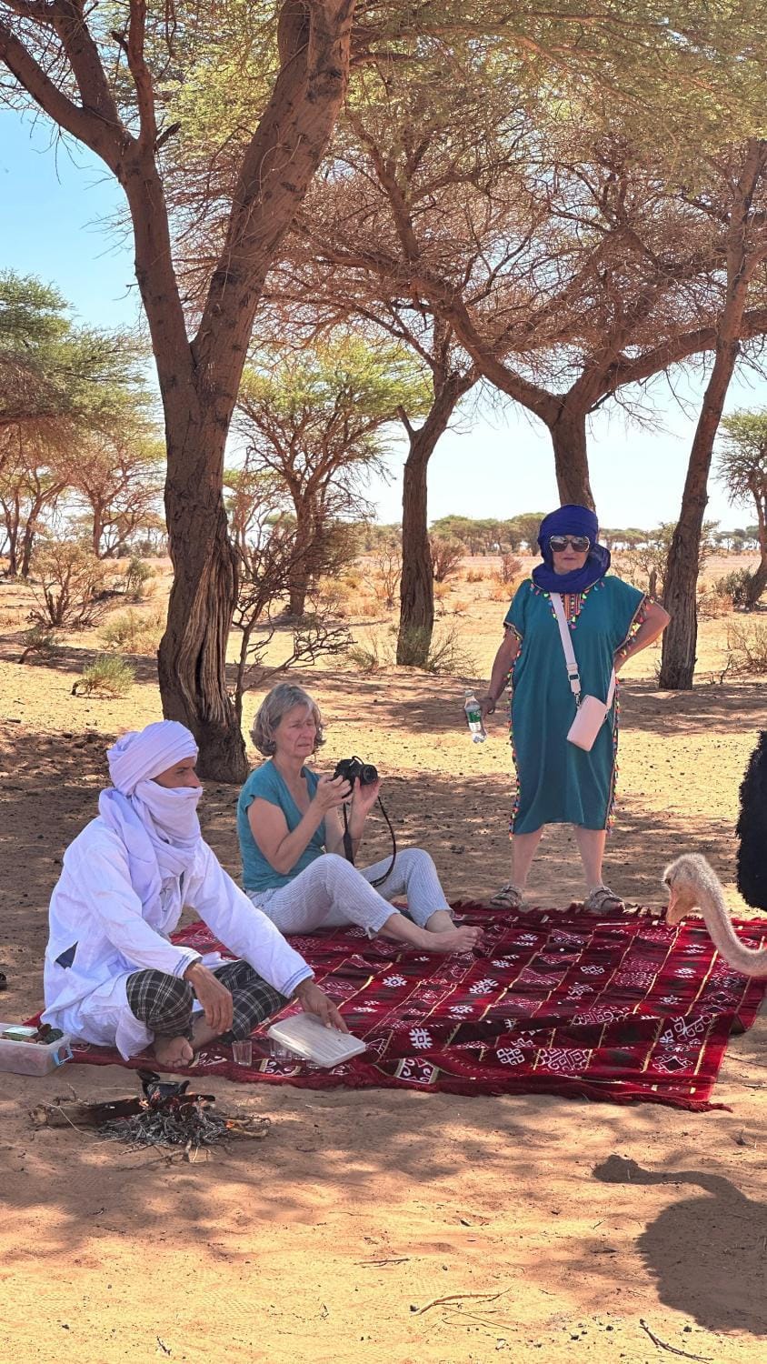 Bivouac Desert Du Maroc Campground/ 
RV Resort in Morocco