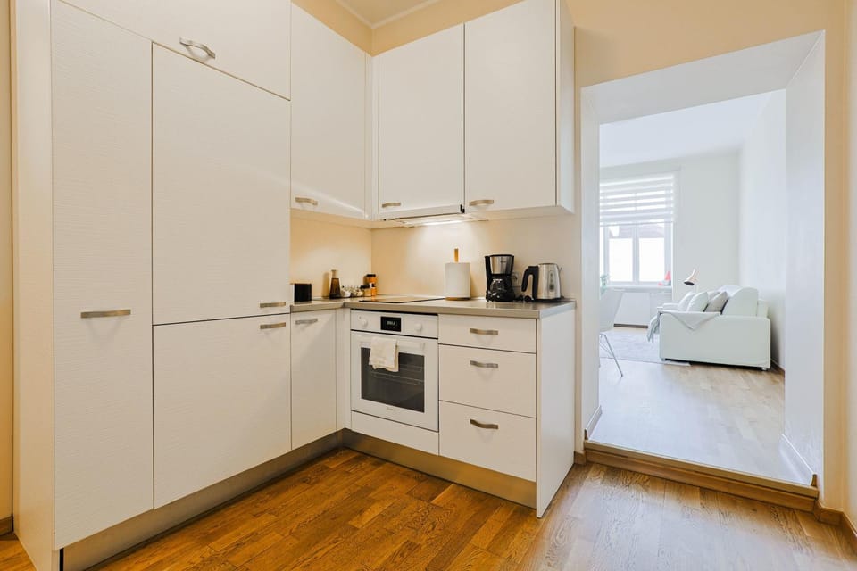 Old Town Doma View 1BR Stays Apartment in Riga