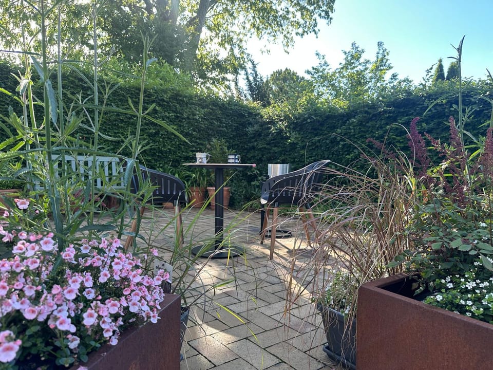 Rummeligt kælderværelse med egen indgang og privat terrasse nær Aarhus Bed and Breakfast in Central Denmark Region
