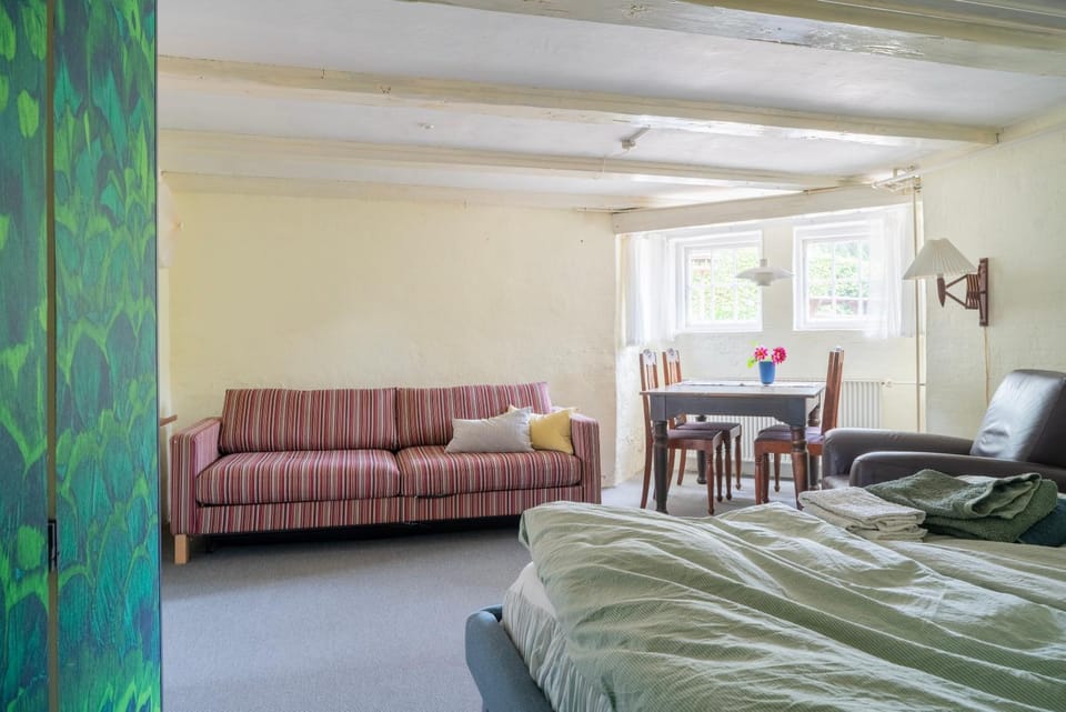 Bed, Living room, Photo of the whole room, Seating area, Dining area, Bedroom