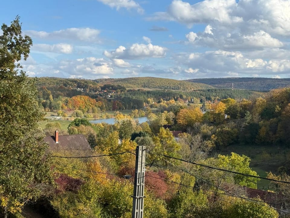 Lake view