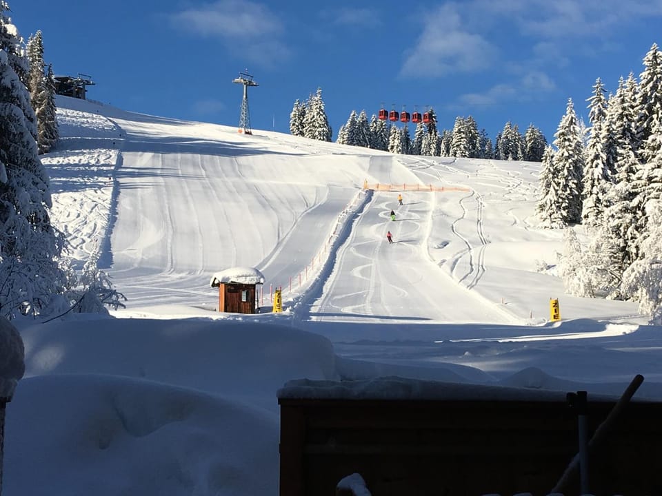 Skiing