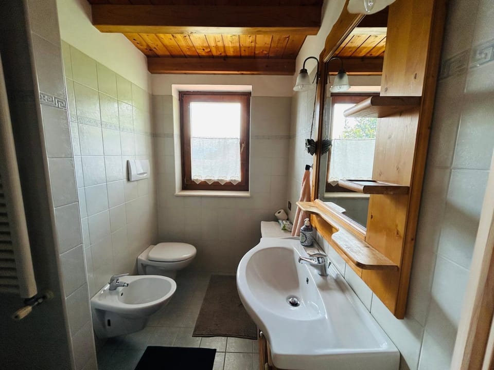 Toilet, Bathroom, bidet