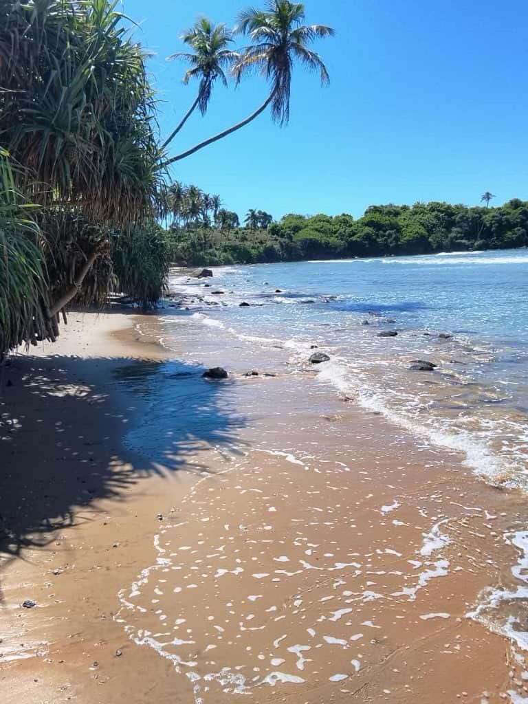 Natural landscape, Beach