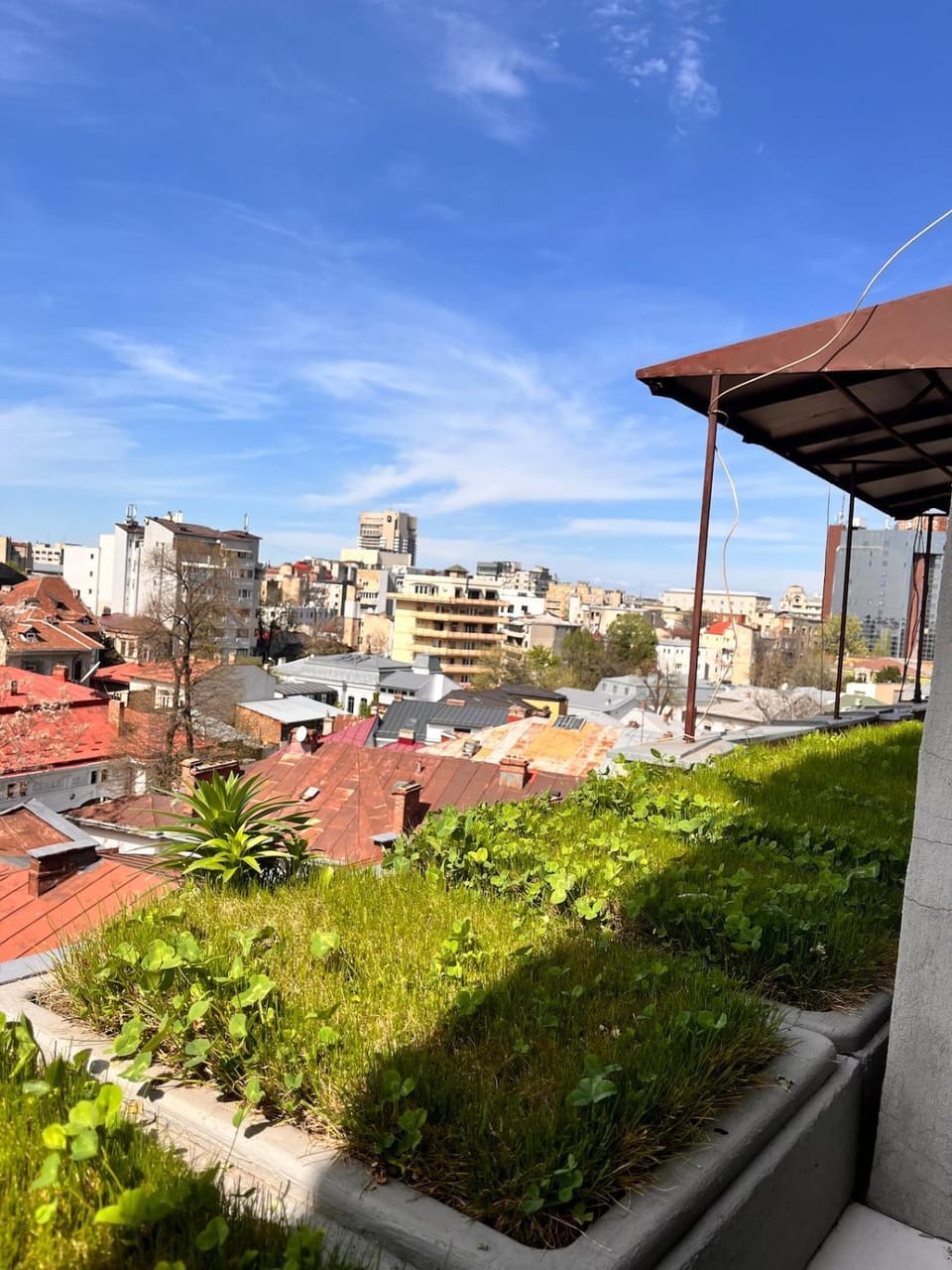City view, Garden view