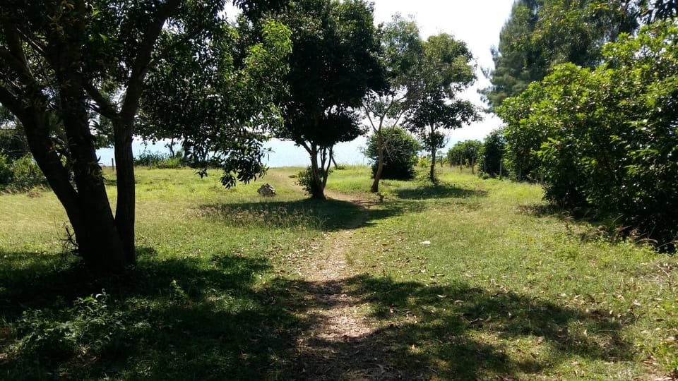 บ้านสนมณีโฮมสเตย์ Bansonmanee Homestay Campground/ 
RV Resort in Thailand