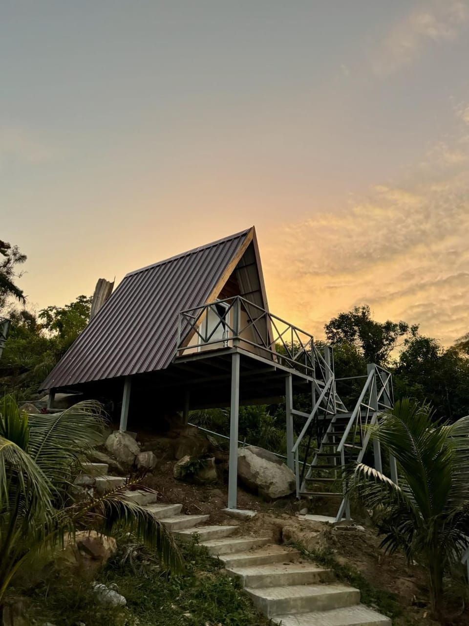 Garden, Garden view, Sunset