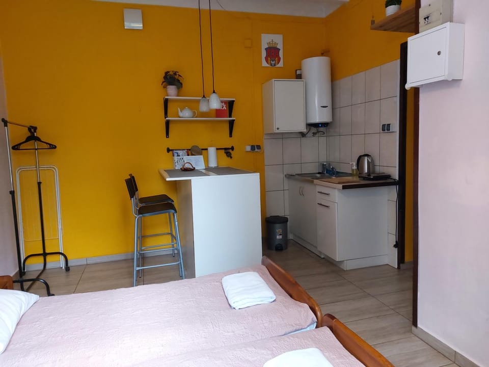 Kitchen or kitchenette, Photo of the whole room