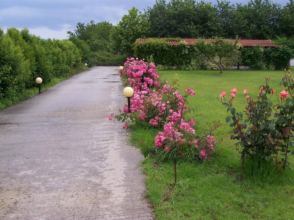 Area and facilities