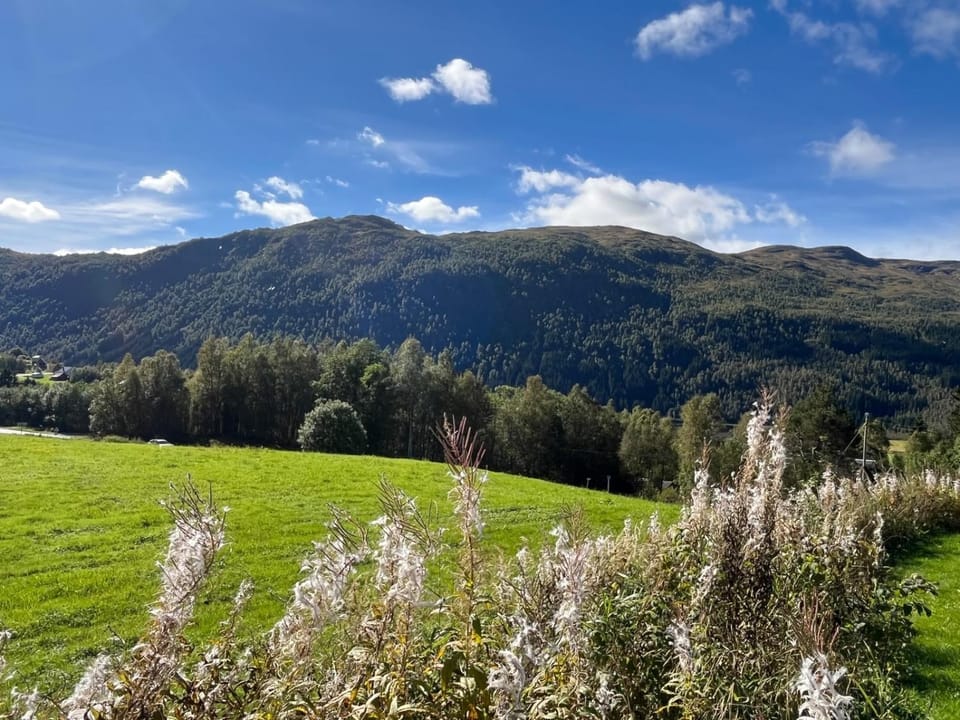 Traditional Cabin - Free parking, Sauna & View Cabin in Vestland