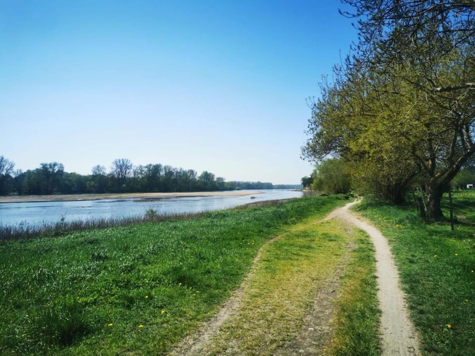 Le Nid du Chêne Apartment in Pays de la Loire