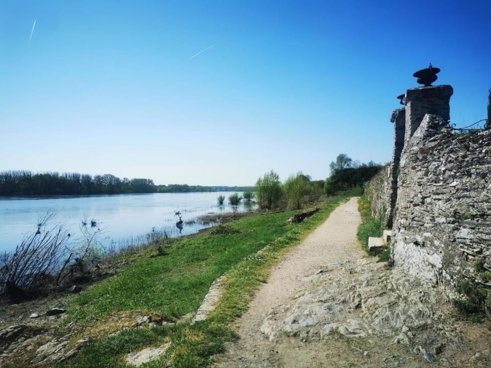 Le Nid du Chêne Apartment in Pays de la Loire
