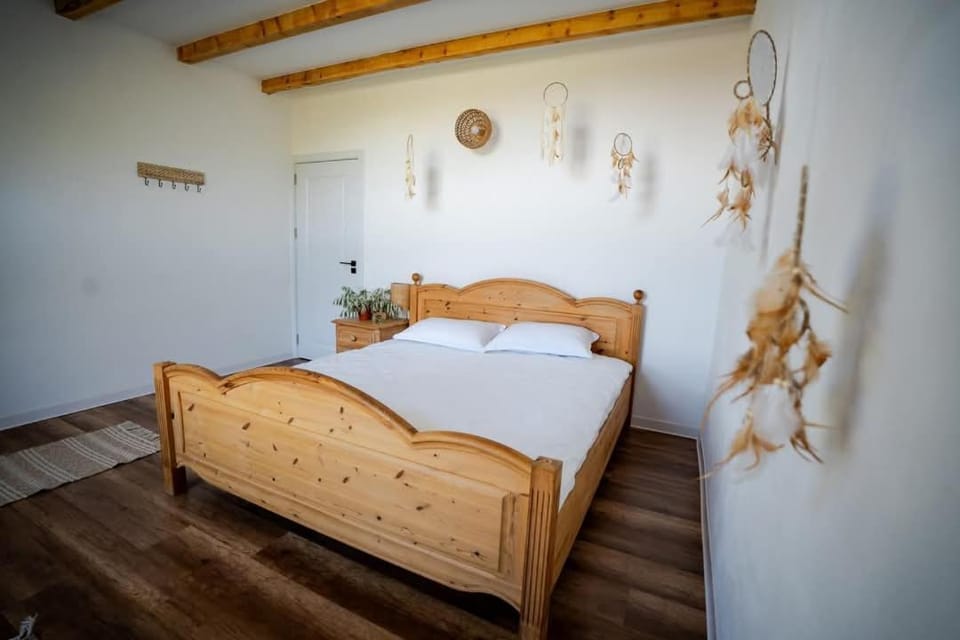 Texan Country House Farm Stay in Dolj County, Romania
