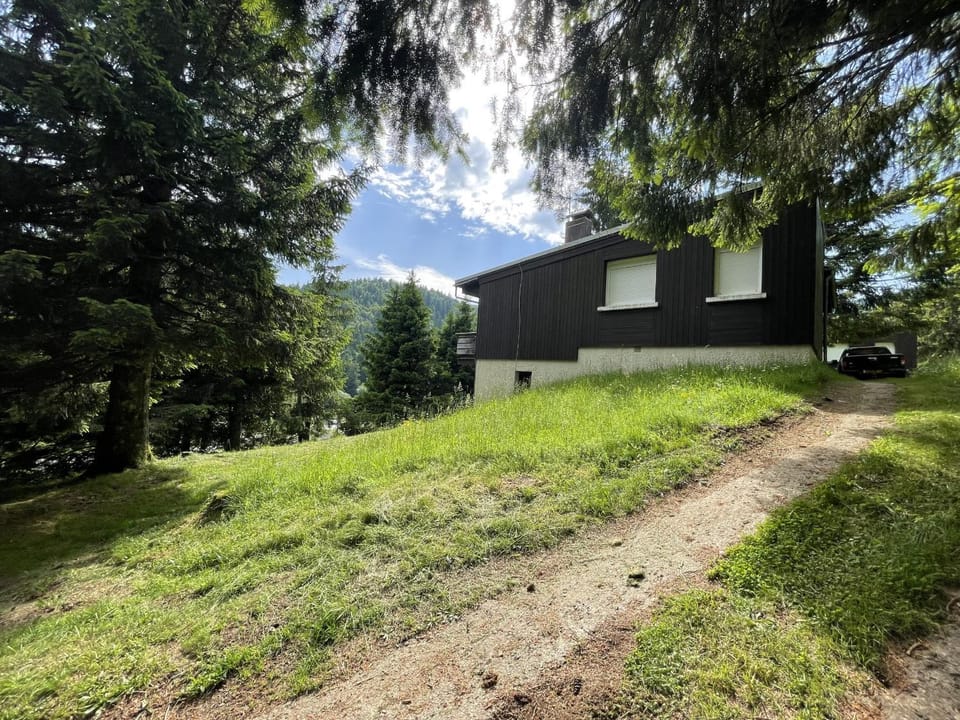Property building, Garden view