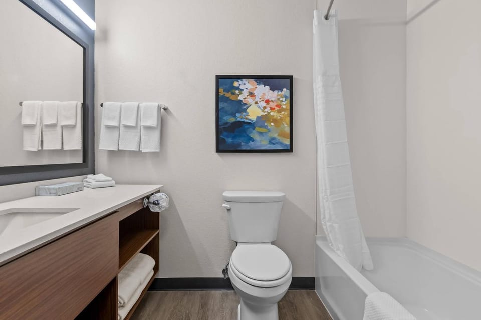 Toilet, Bathroom, Bath
