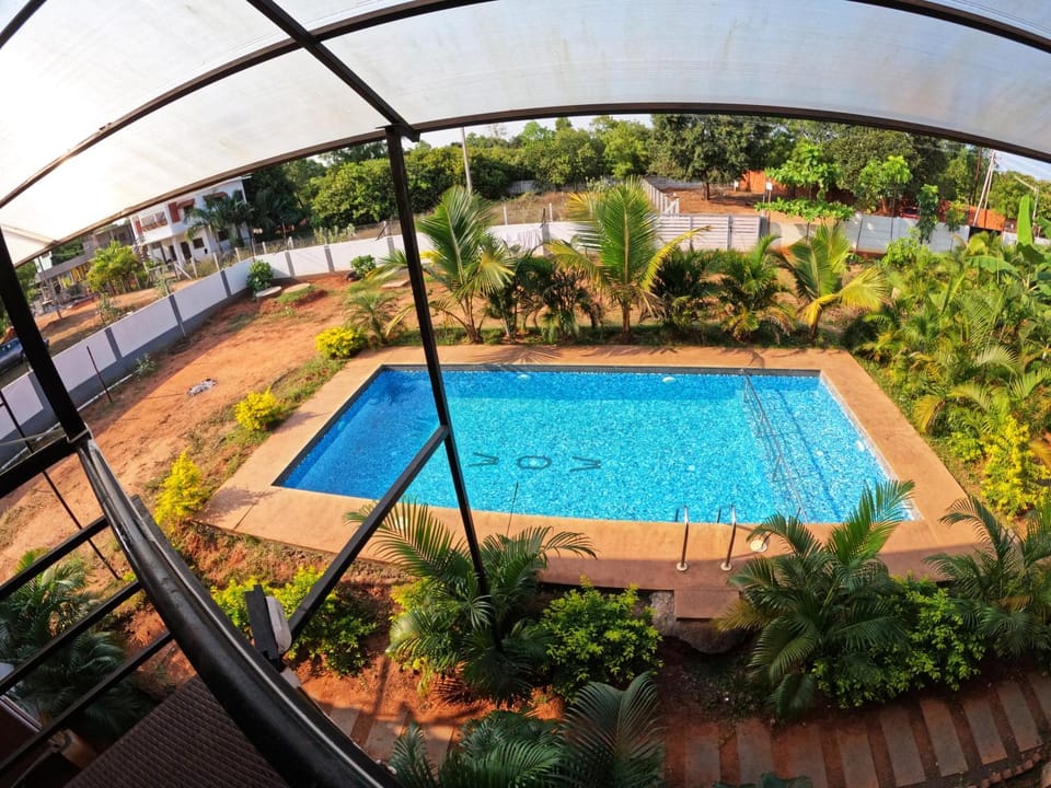 Garden, Garden view, Pool view, Swimming pool, sunbed