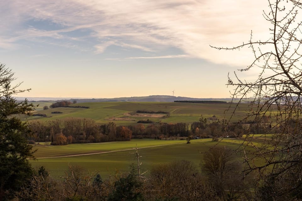 Natural landscape, View (from property/room)