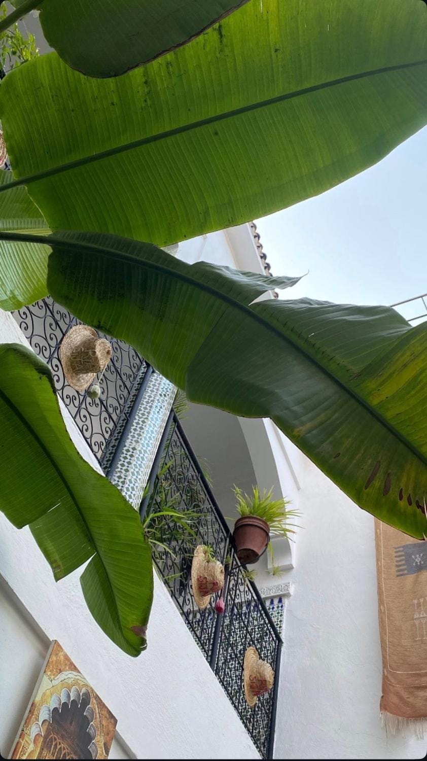 Riad Sijane Hostel in Marrakesh