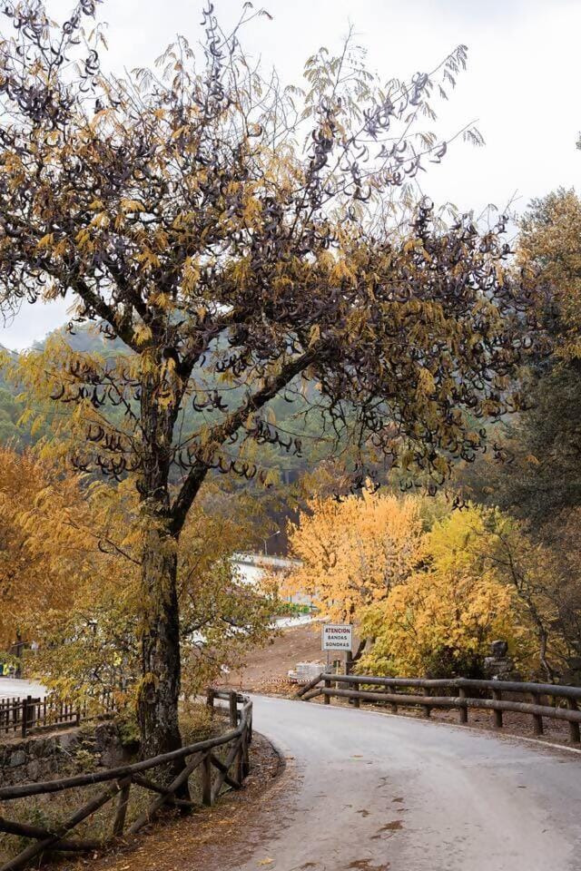 Natural landscape