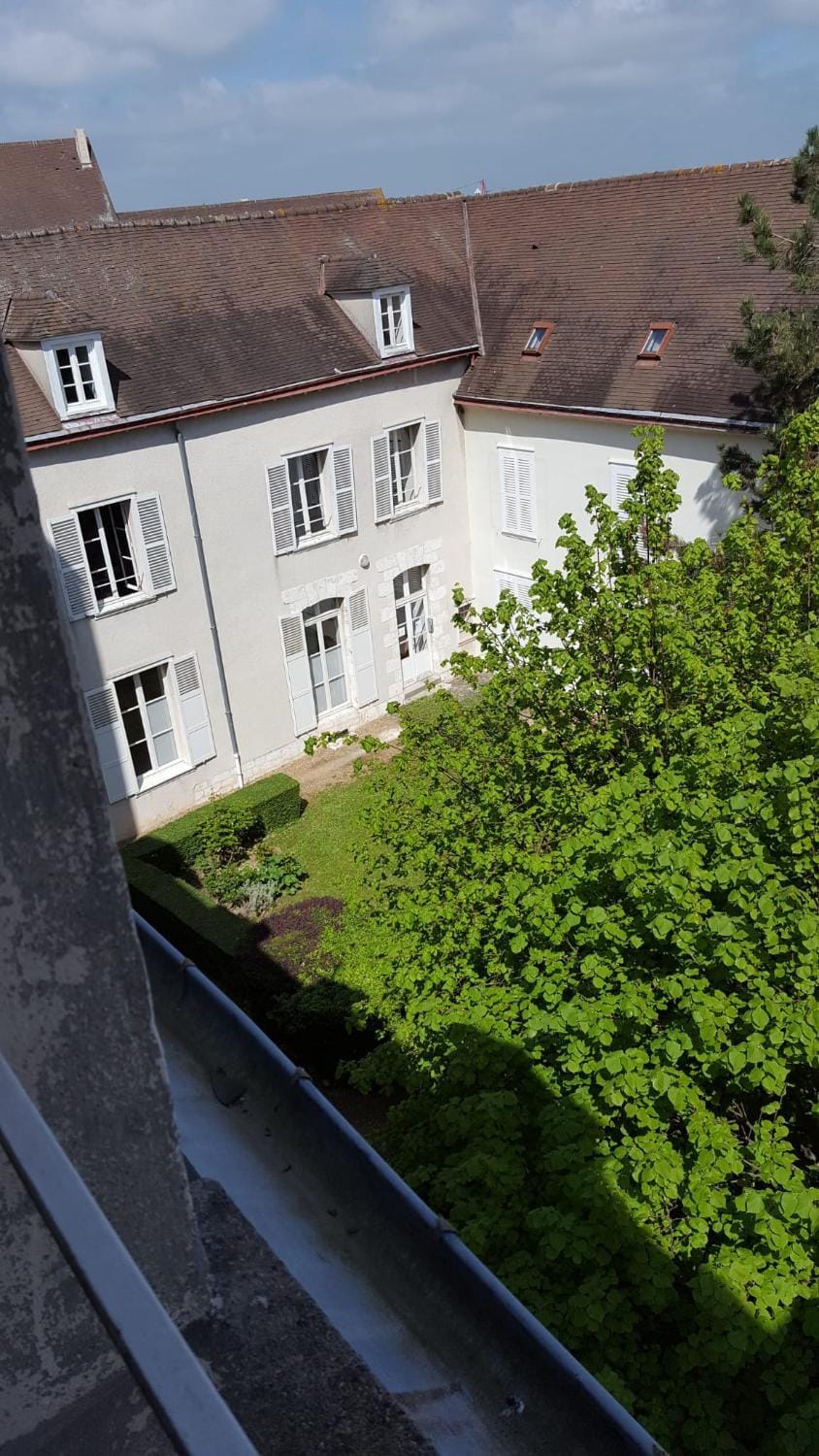 Spring, Garden, Garden view