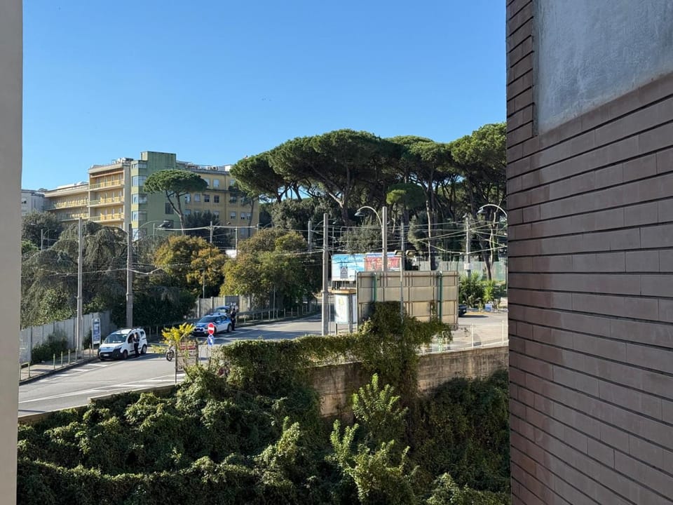 Day, Neighbourhood, Street view