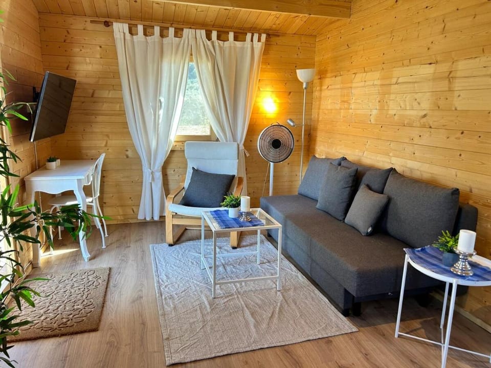 Communal lounge/ TV room, TV and multimedia, Living room