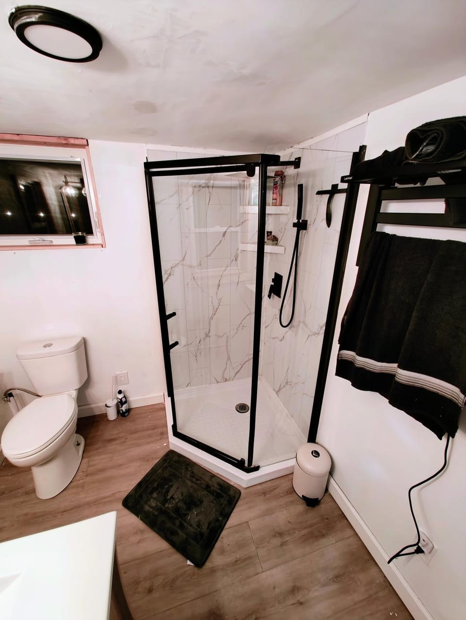 Shower, Toilet