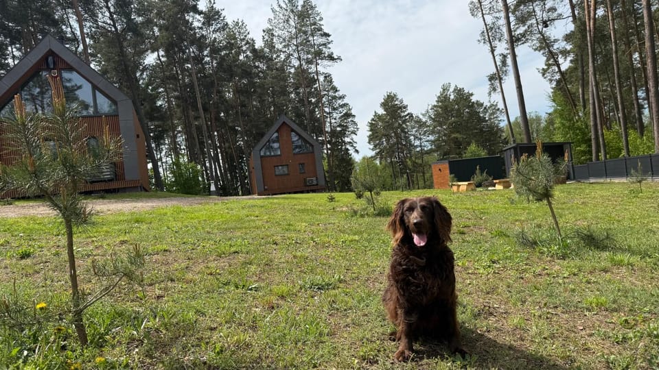 Natural landscape, Pets