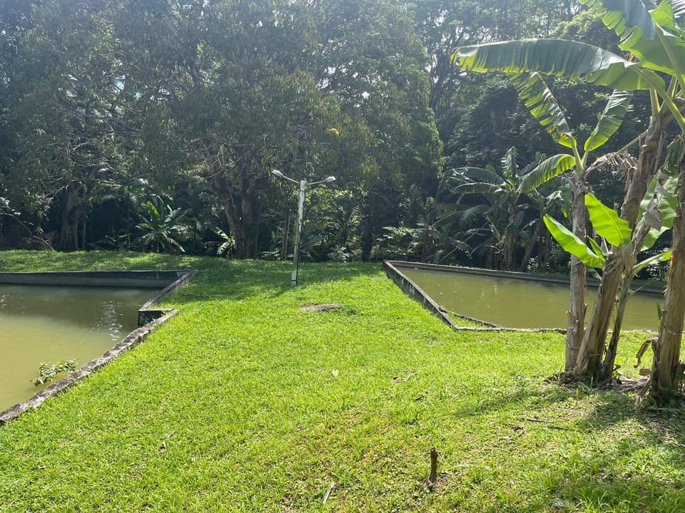 Sítio com água mineral, rio e cachoeira Chalet in State of Rio de Janeiro