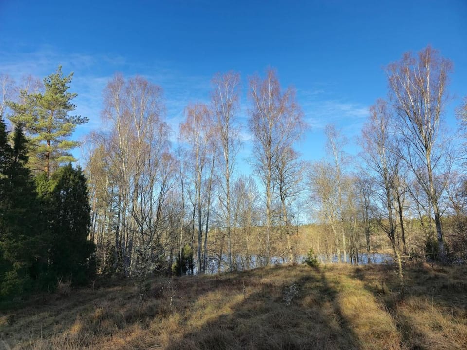 Kringelgården House in Sweden