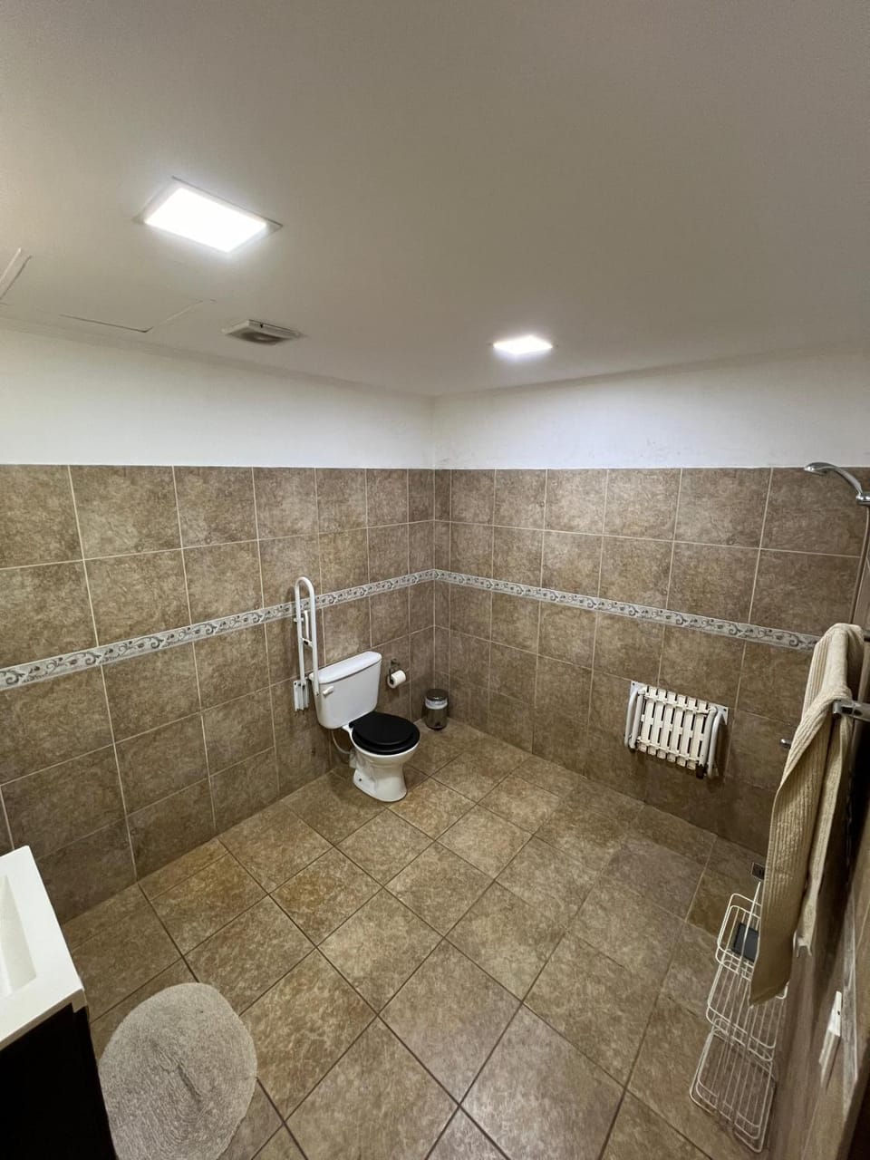 Shower, Toilet, Bathroom, Facility for disabled guests, towels