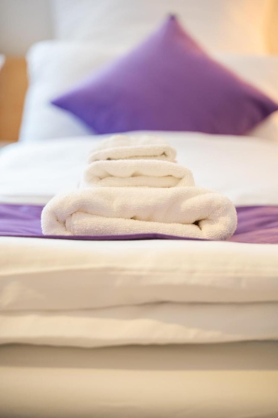 Special MAGICAL MEERKATS 4 Apartment Apartment in Basel