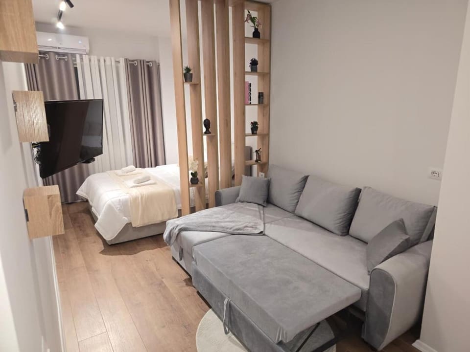 Home 3 Apartment in Tirana County, Albania