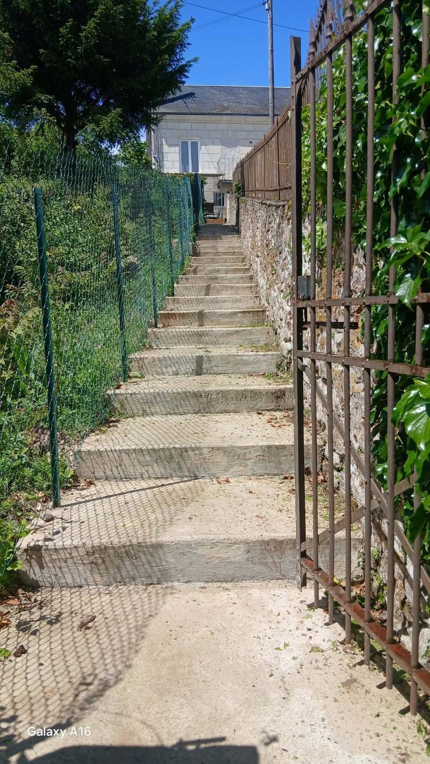 Patio, Patio, Garden, Garden, acessibility