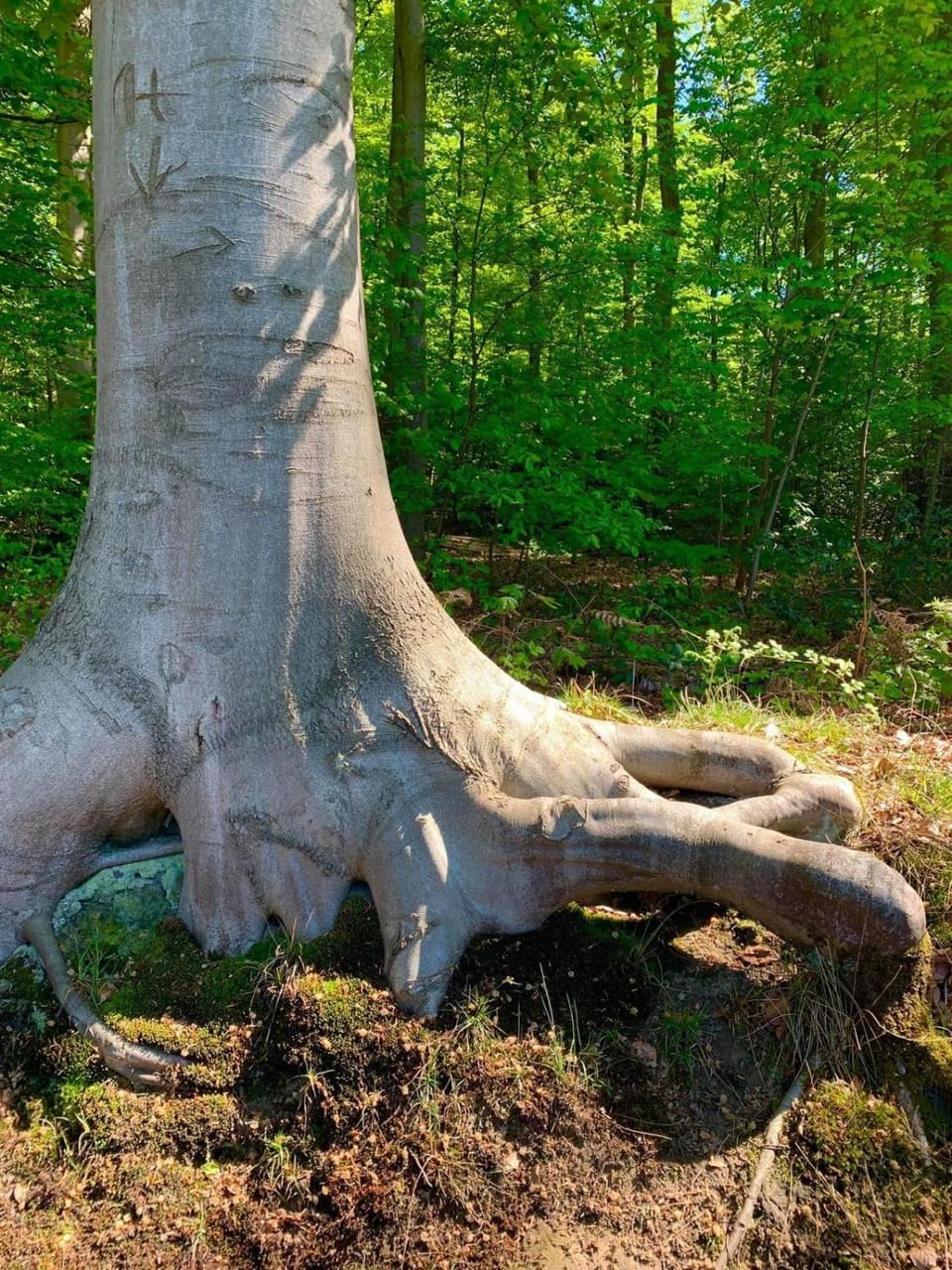 Natural landscape, Hiking