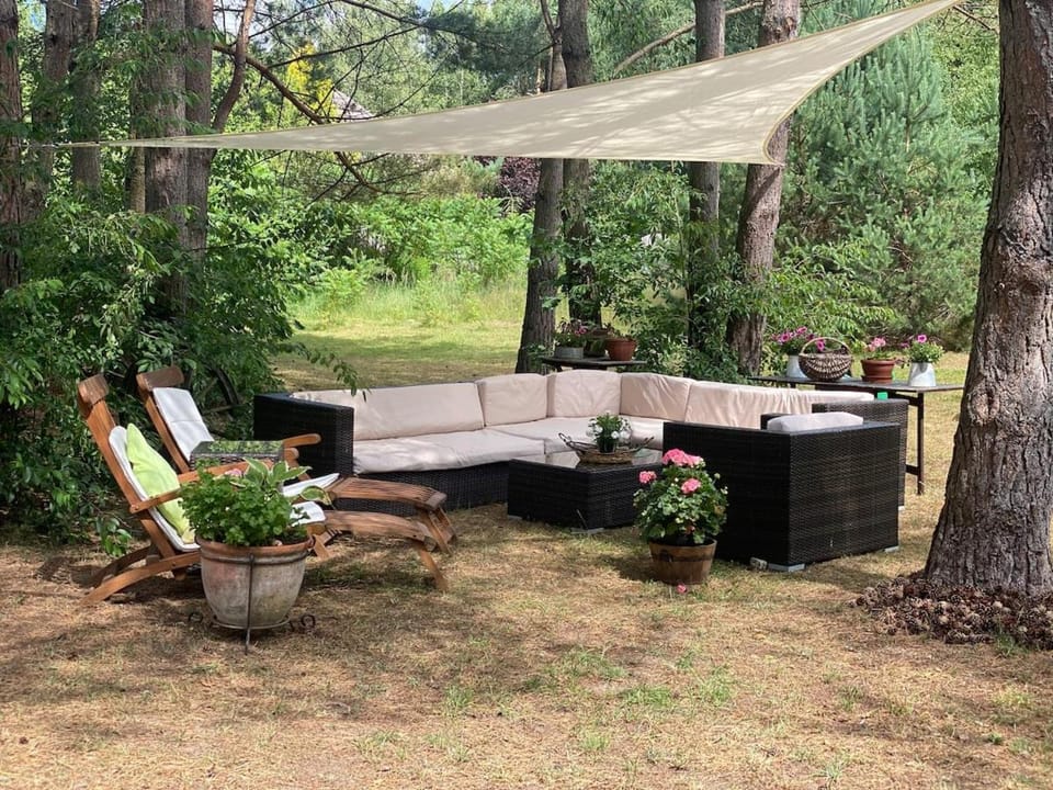 Garden, Seating area, Garden view