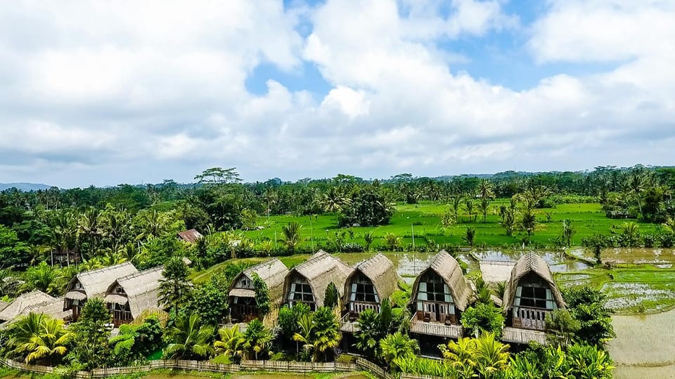 Day, Natural landscape, Bird's eye view, Summer, View (from property/room), On site